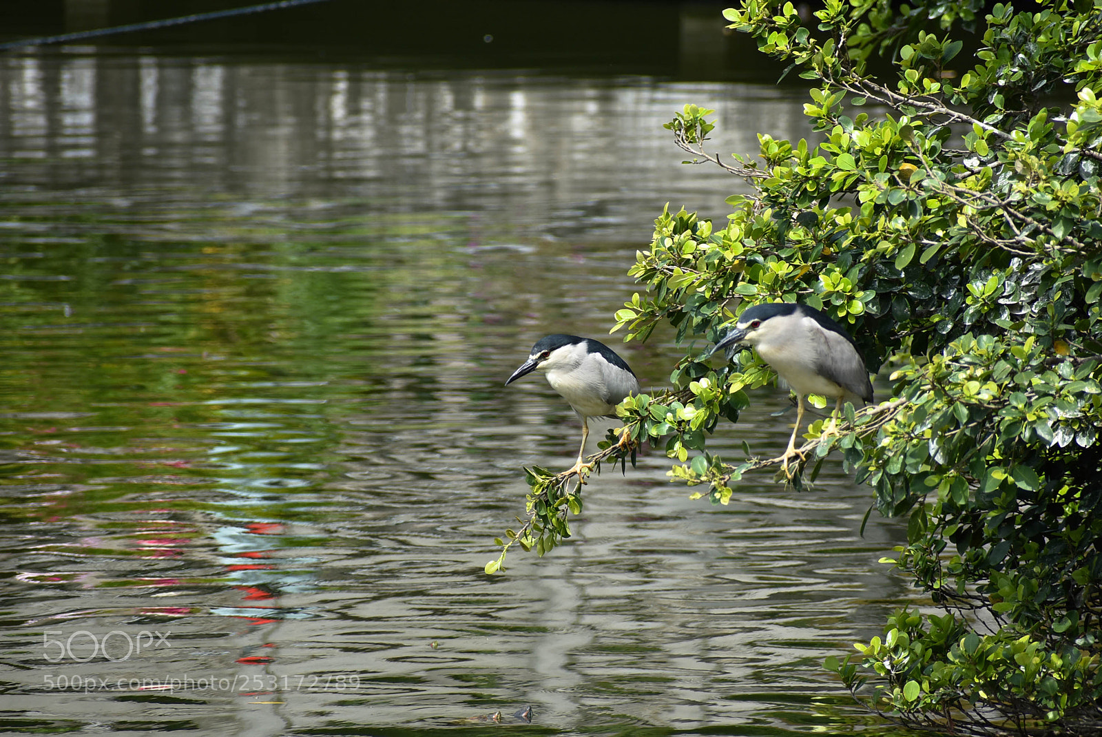 Nikon D3400 sample photo. Dsc photography