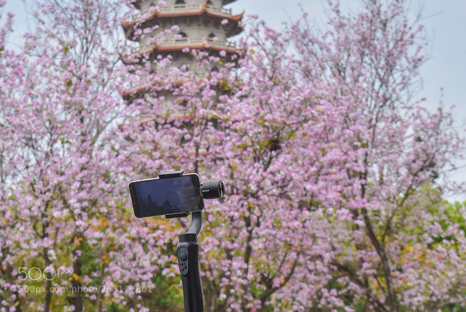 Nikon D3400 sample photo. Dsc photography