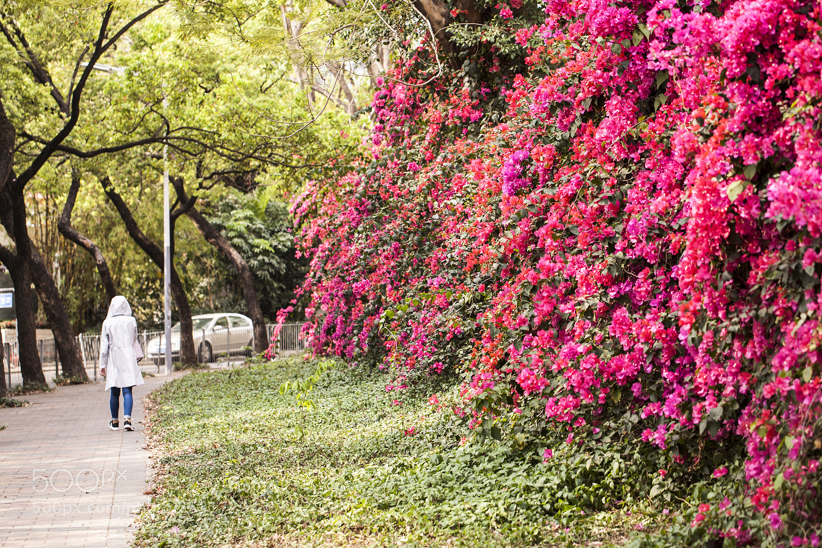 Canon EOS 5D Mark II sample photo. Spring's passenger photography