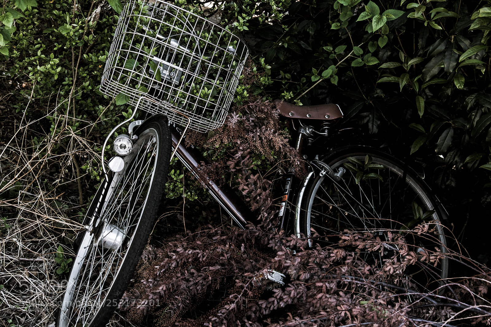Fujifilm X-Pro2 sample photo. Untitled photography