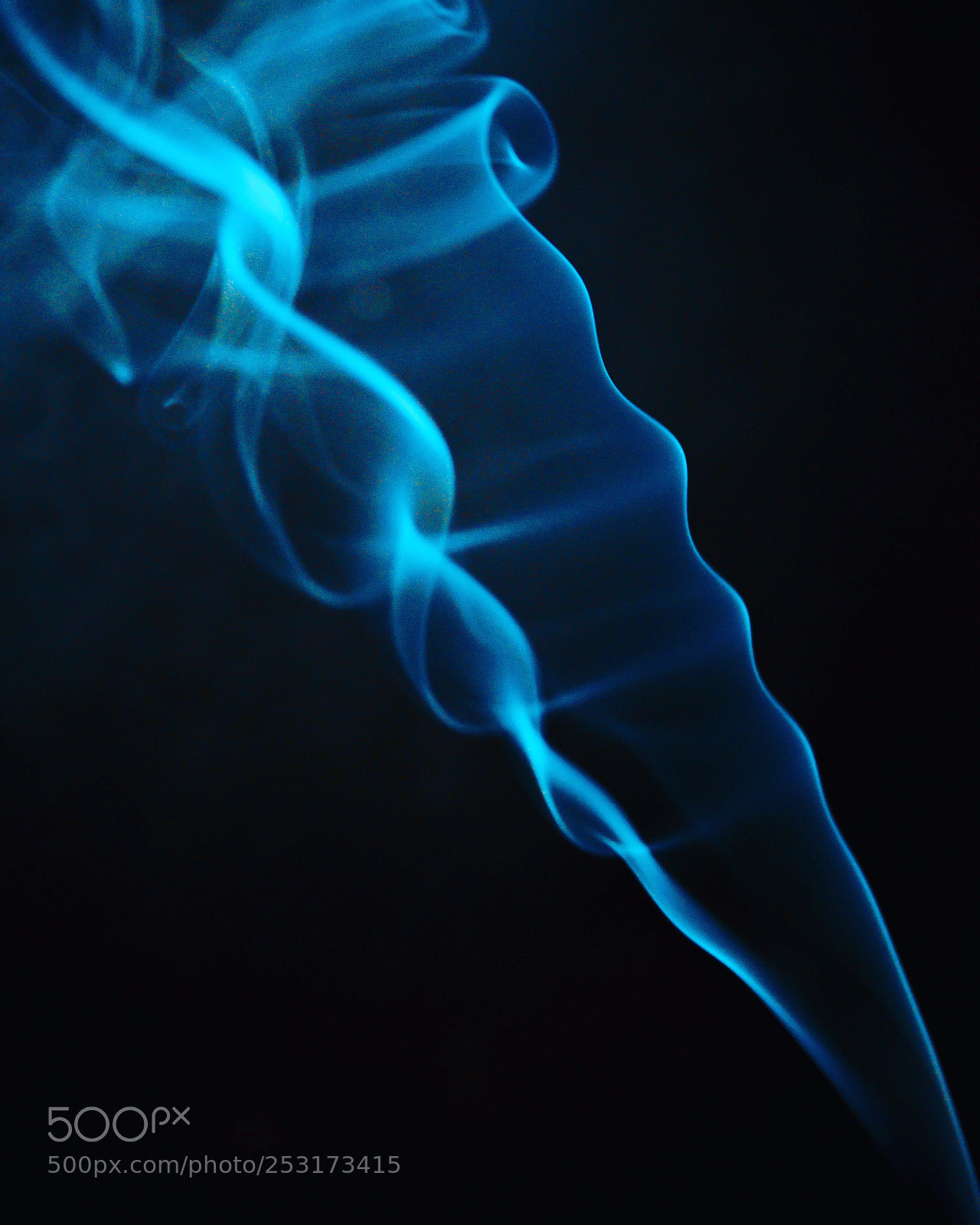 Nikon D610 sample photo. Untitled photography
