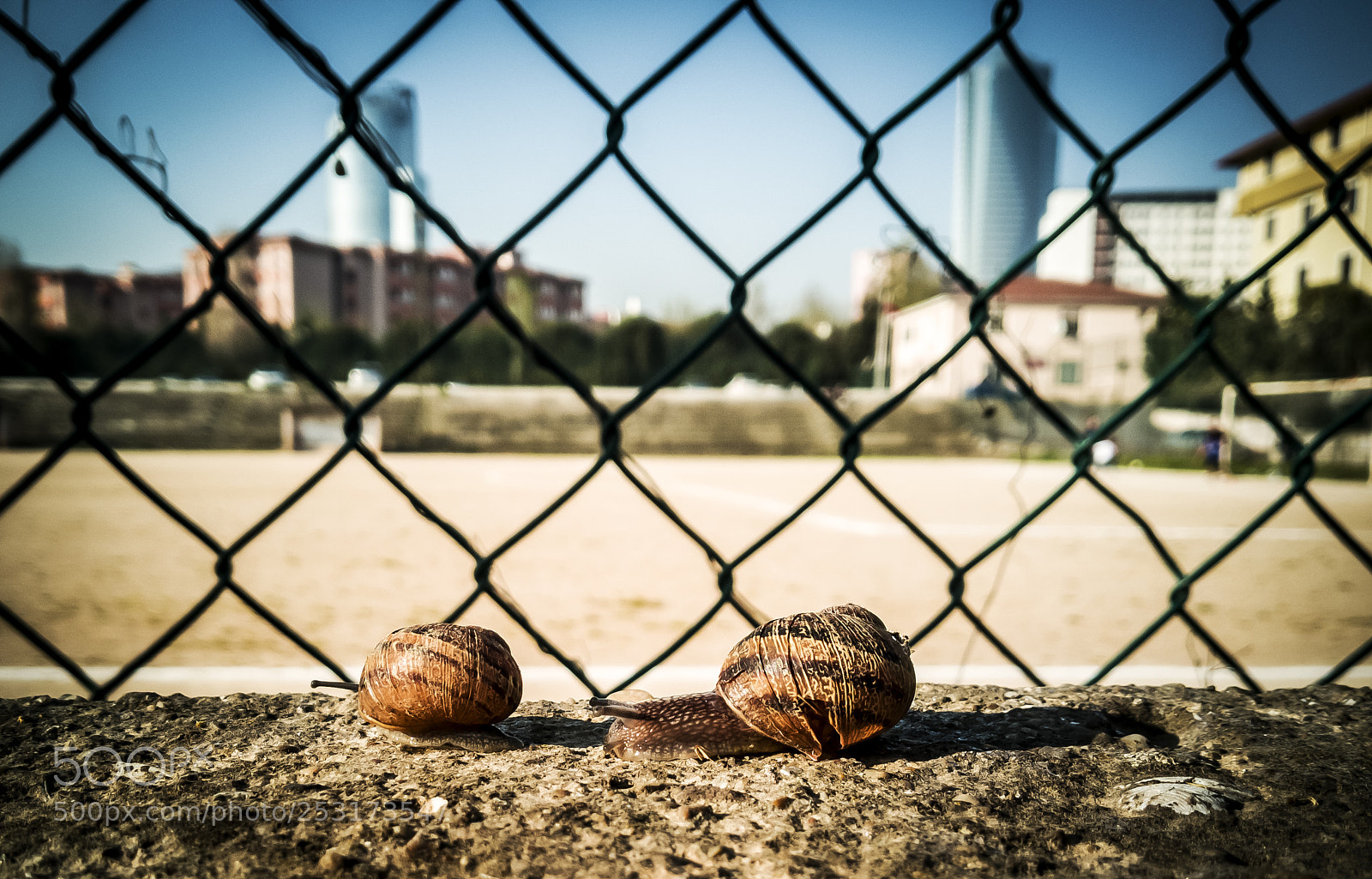 HUAWEI Mate 10 Lite sample photo. Untitled photography