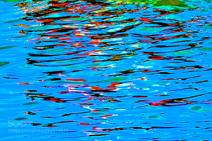 Nikon D3100 sample photo. Ripendando a monet photography