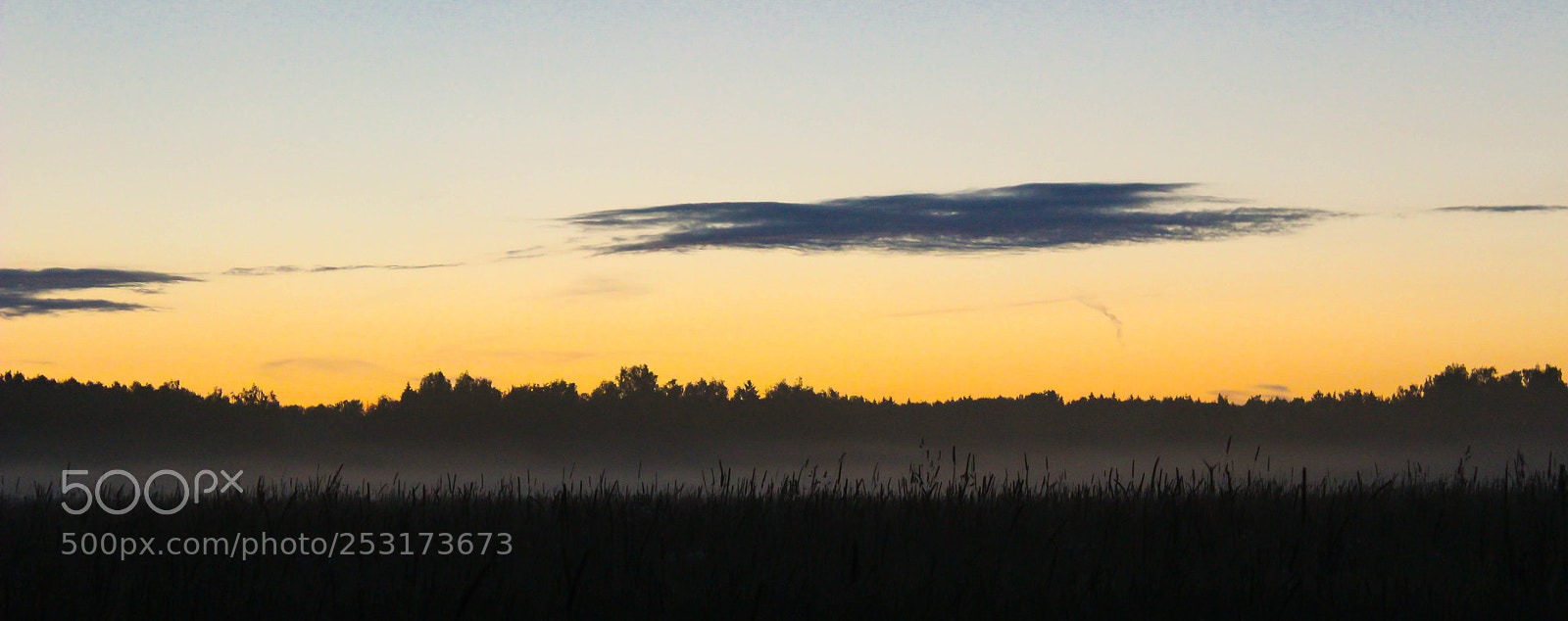 Canon EOS 600D (Rebel EOS T3i / EOS Kiss X5) sample photo. Foggy summer sunset photography