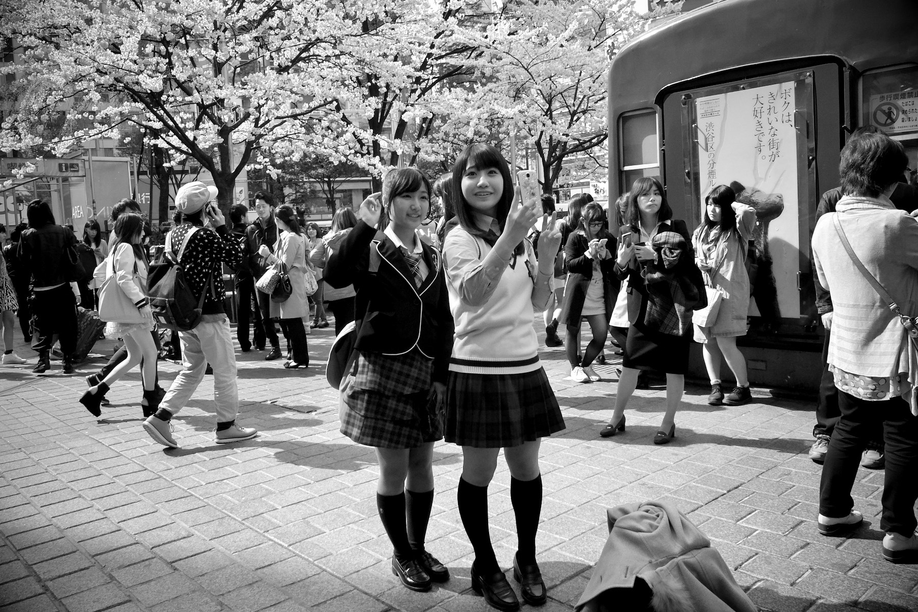 Ricoh GR DIGITAL 4 sample photo. Spring photography