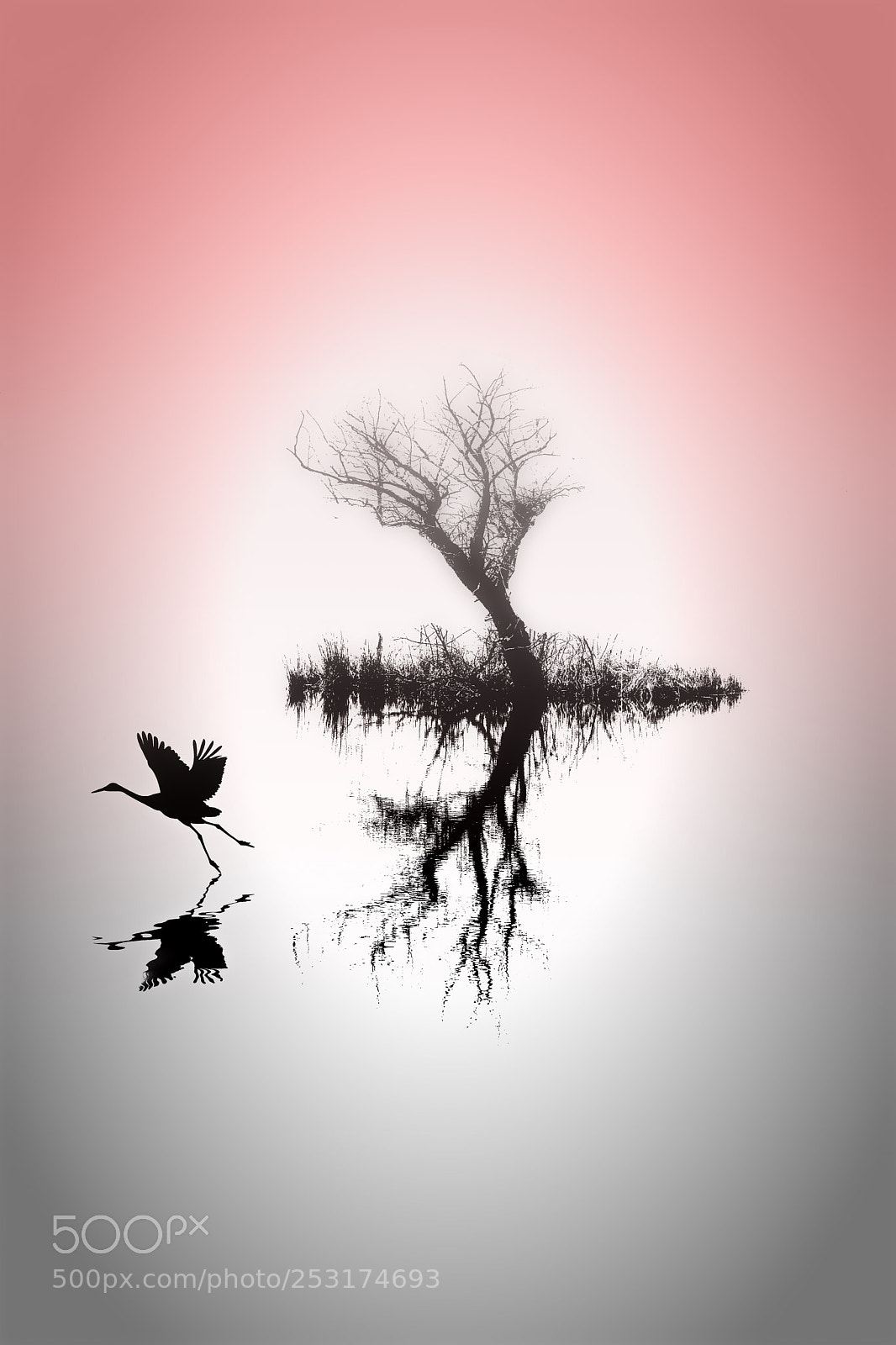 Canon EOS 6D Mark II sample photo. Lake photography