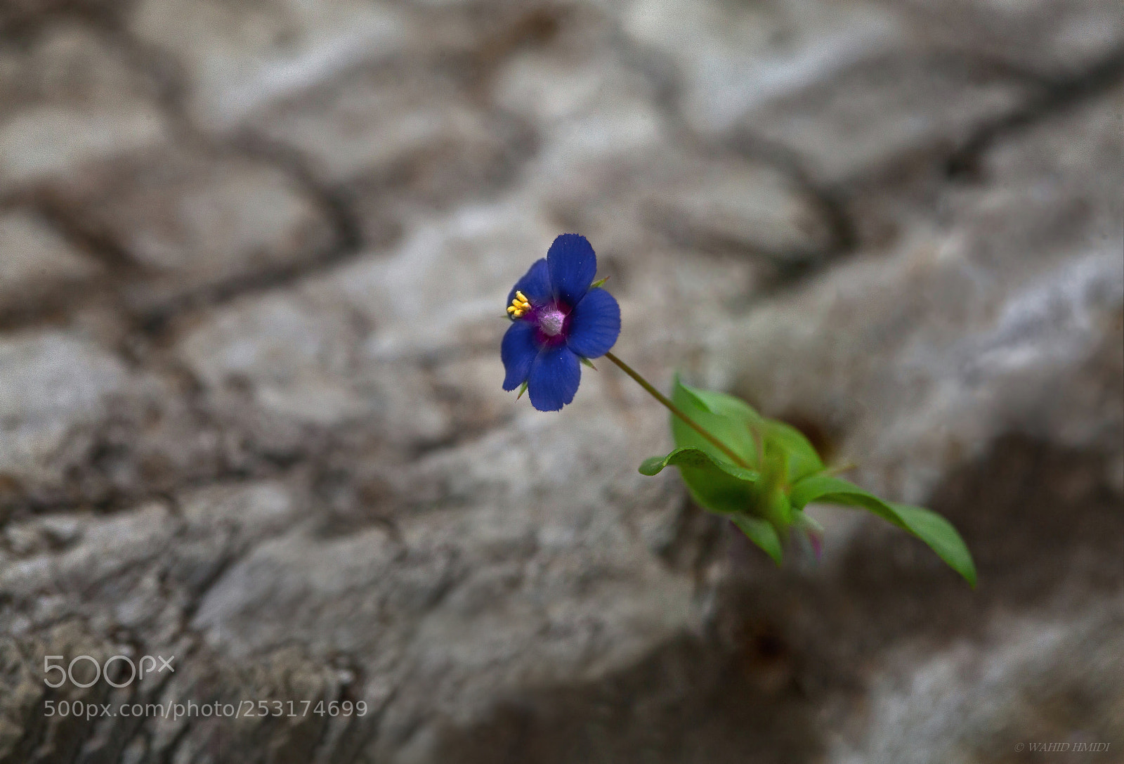 Canon EOS 5D Mark II sample photo. Vers l'ouest. photography