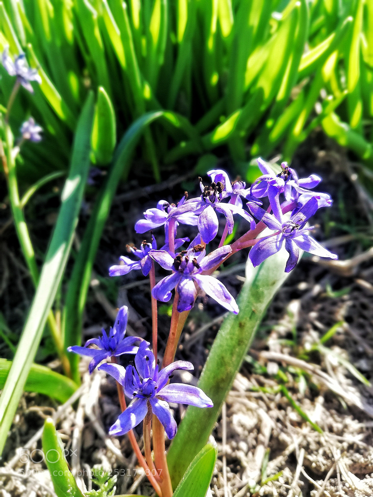 HUAWEI Mate 10 Lite sample photo. Untitled photography
