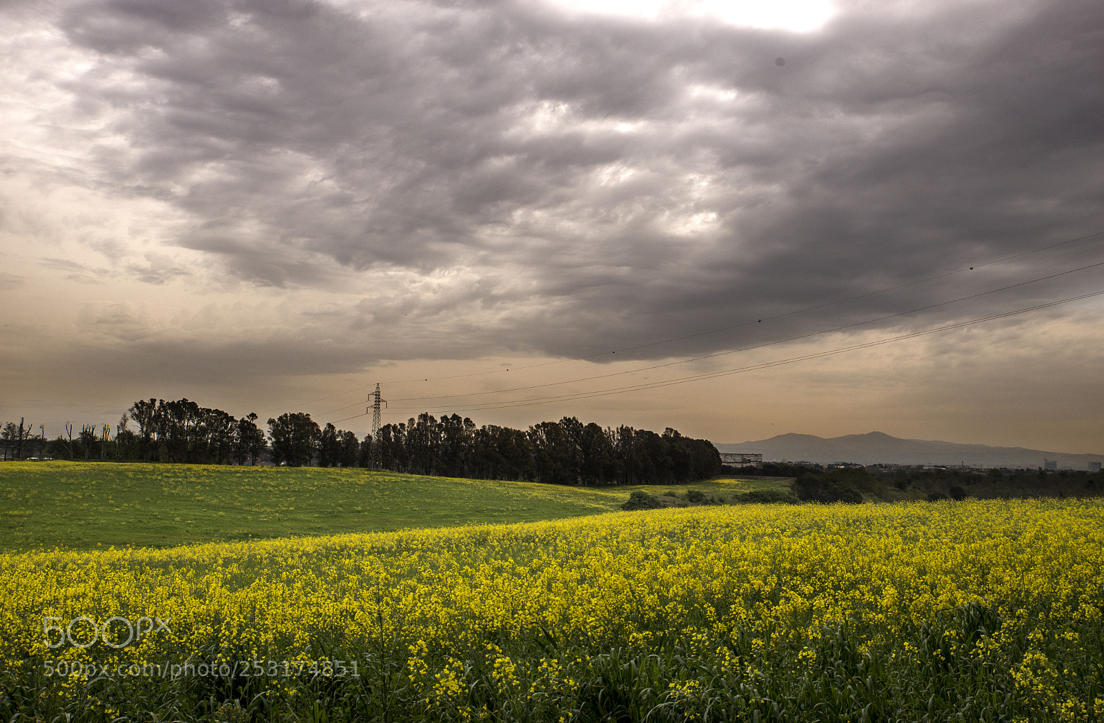Nikon D610 sample photo. La campagna laziale photography