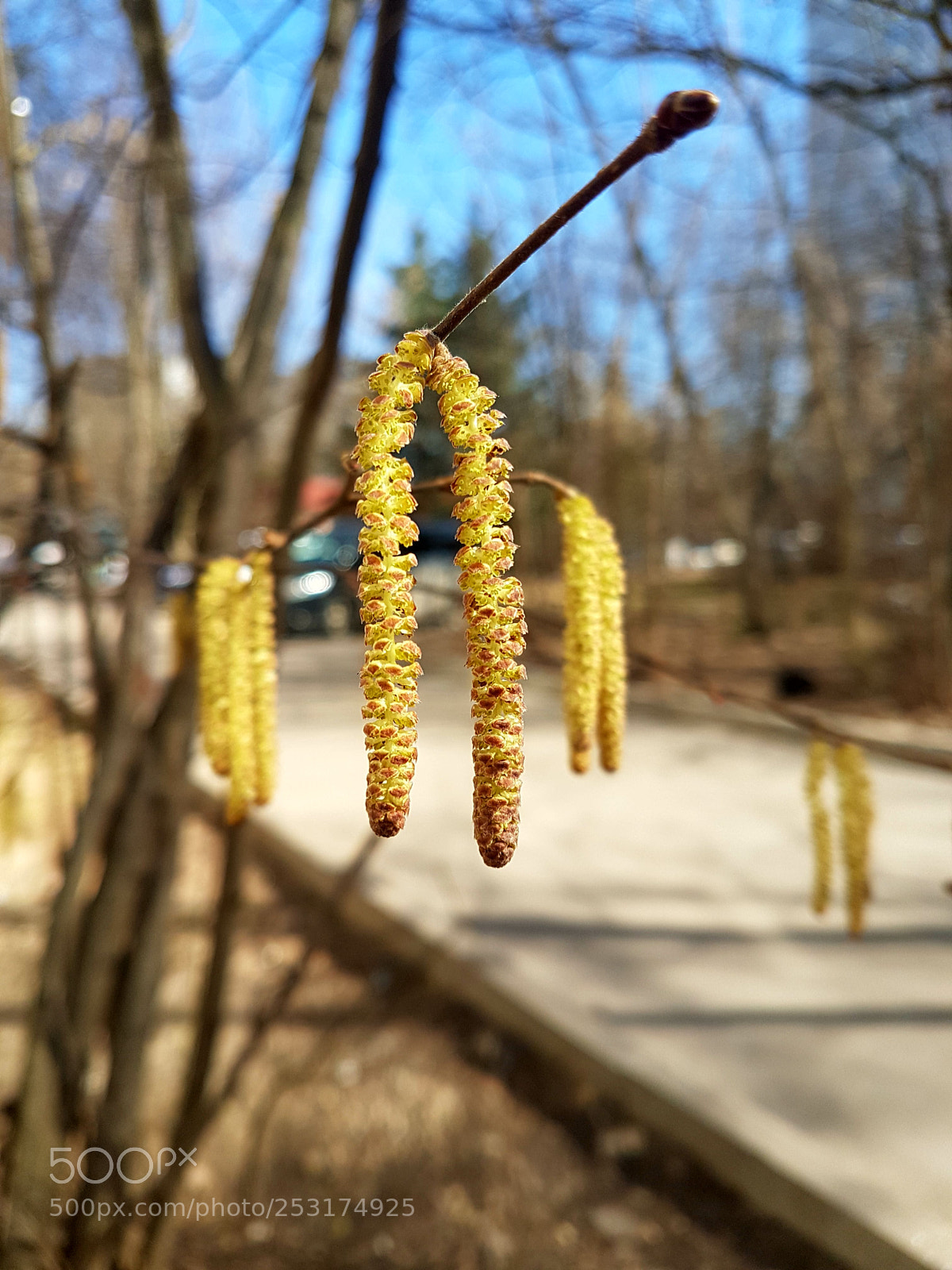 Samsung Galaxy S7 Edge sample photo. Untitled photography