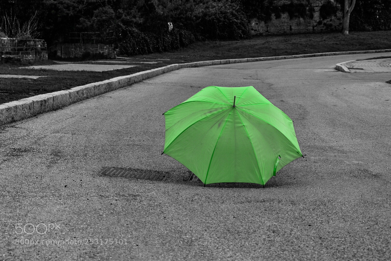 Nikon D3400 sample photo. Street wind green photography