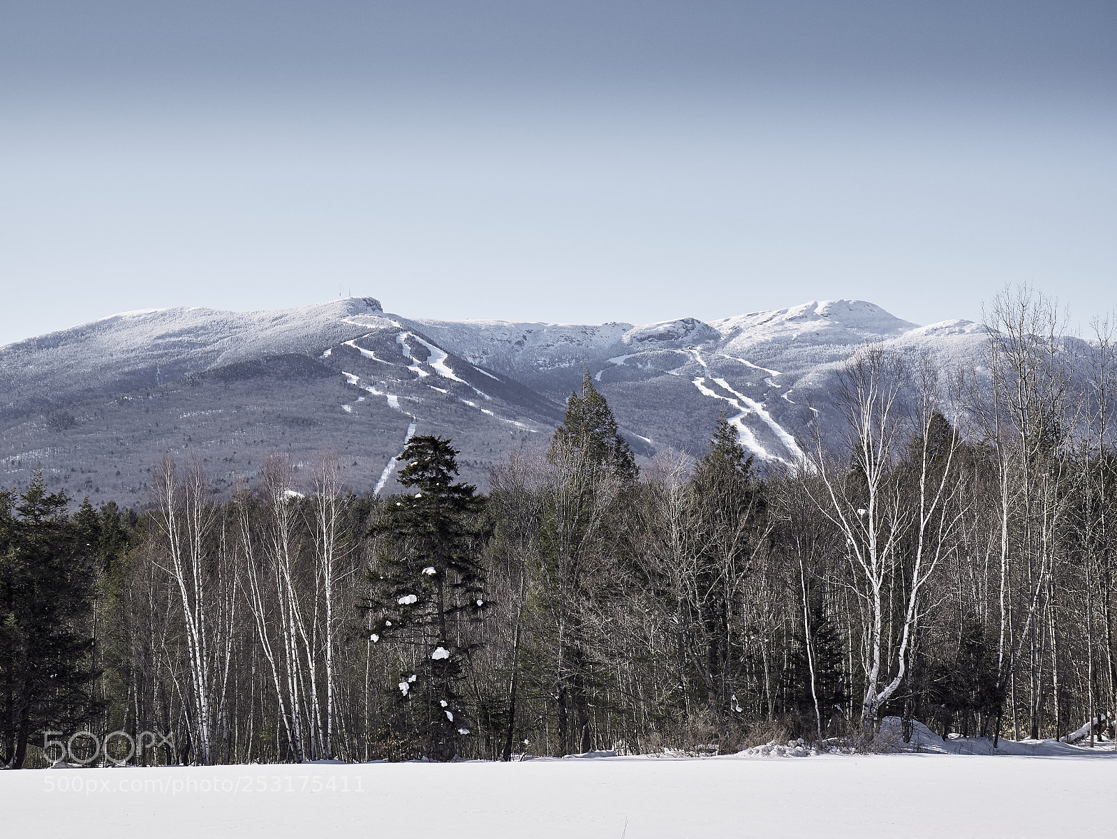 Panasonic Lumix DMC-G85 (Lumix DMC-G80) sample photo. Winter escapes 6 photography