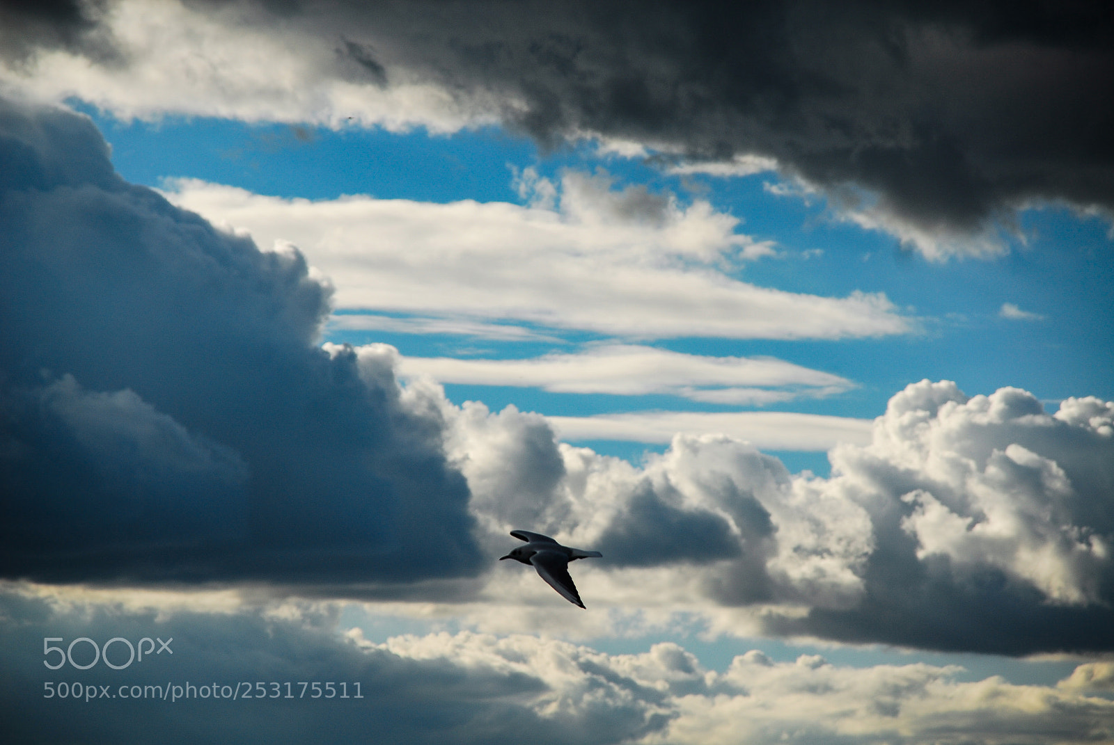 Nikon D200 sample photo. Stormchaser photography