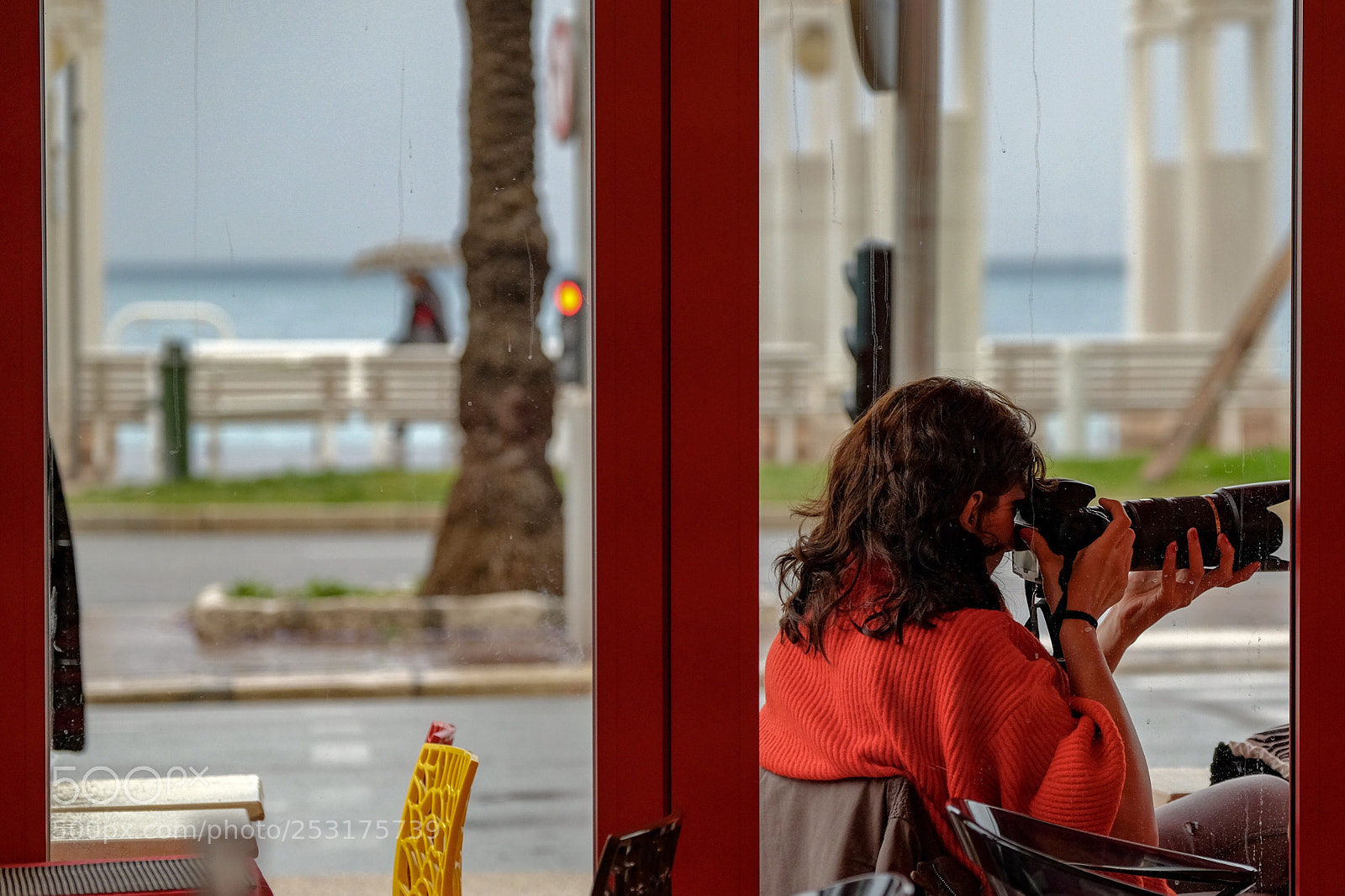 Fujifilm X-T10 sample photo. Framing reds photography