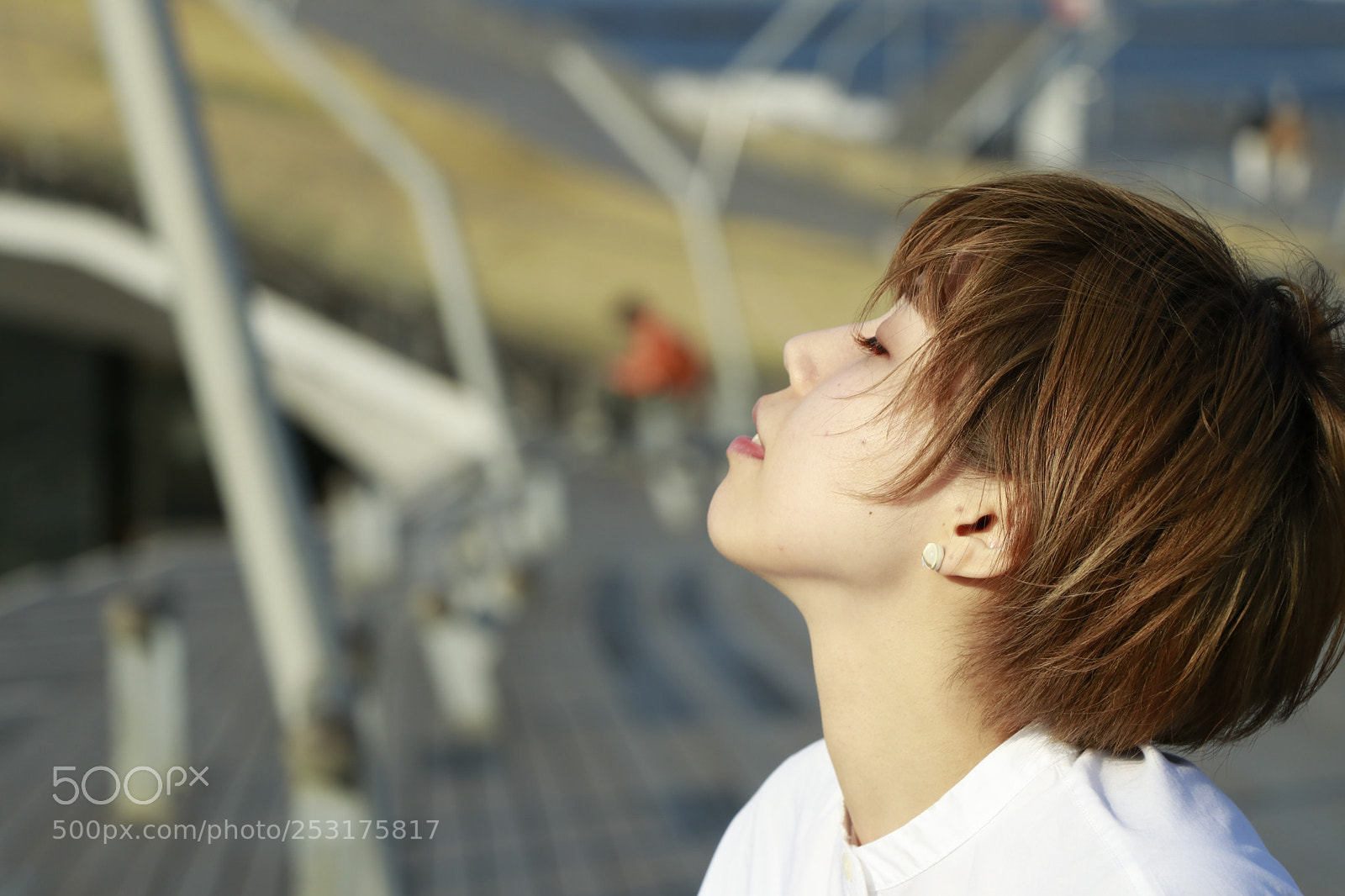 Canon EOS 80D sample photo. Feel the wind photography