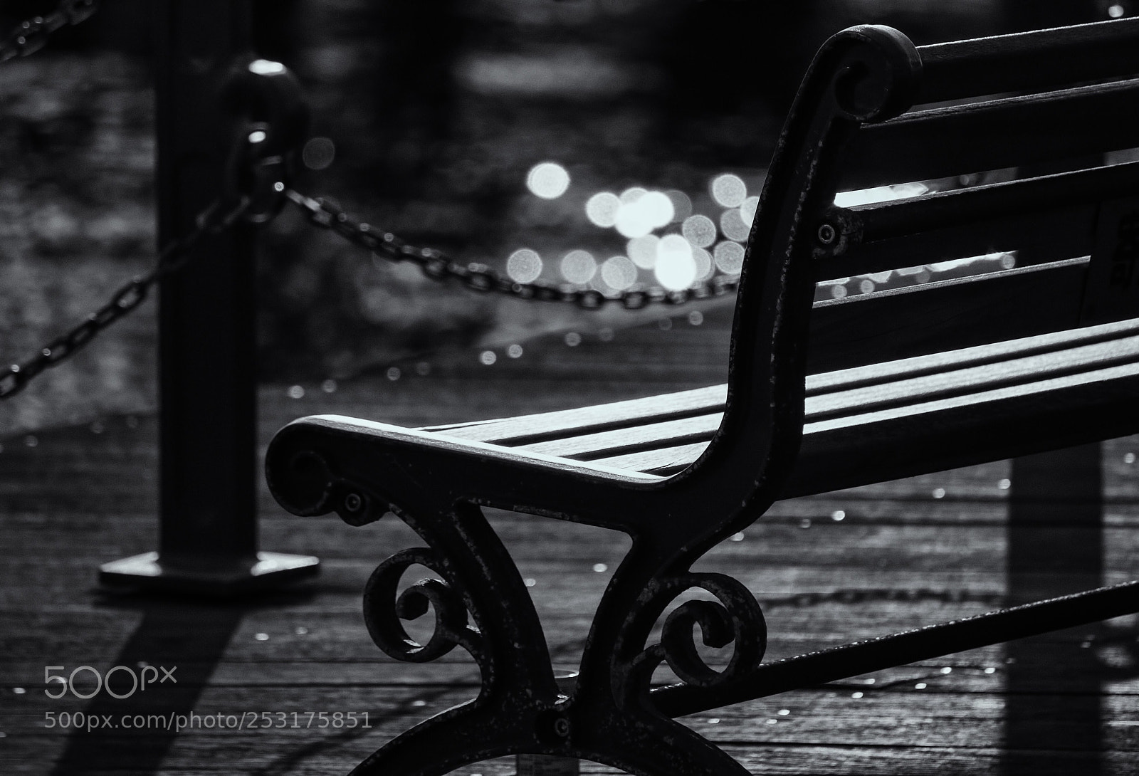 Nikon D90 sample photo. Bench photography