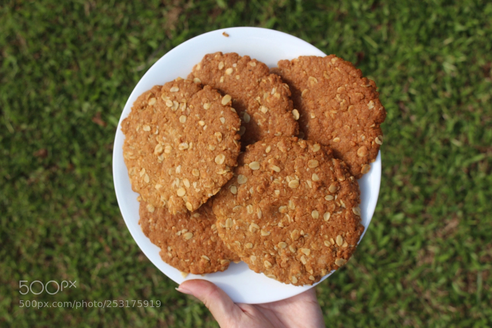 Canon EOS 700D (EOS Rebel T5i / EOS Kiss X7i) sample photo. Baking time! photography