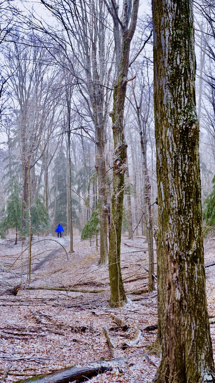 Fujifilm GFX 50S sample photo. Hiking at spring snow photography