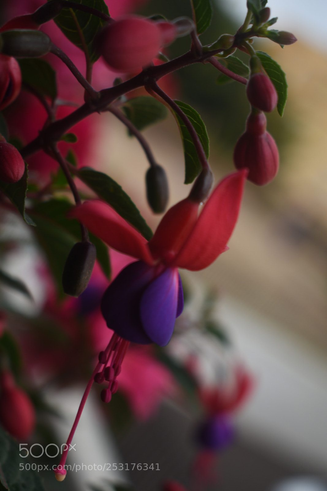 Nikon D3400 sample photo. Dsc photography