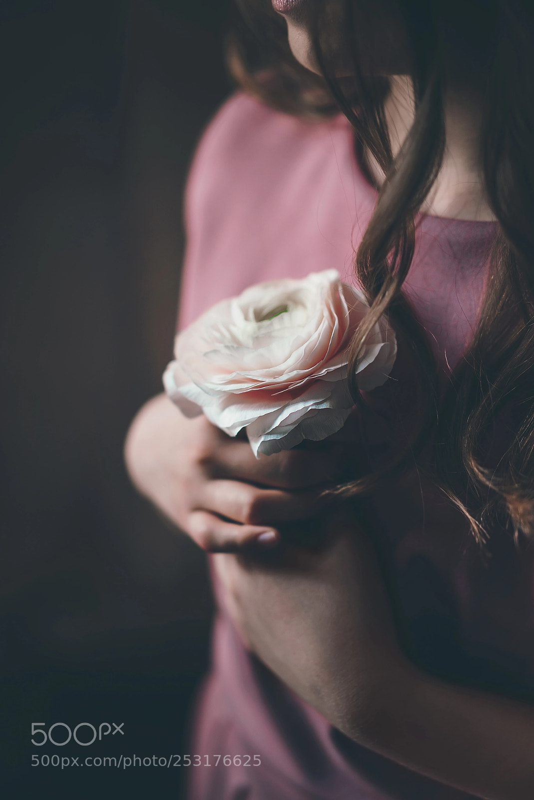 Sony a7S sample photo. Gently pink ranunculus in photography