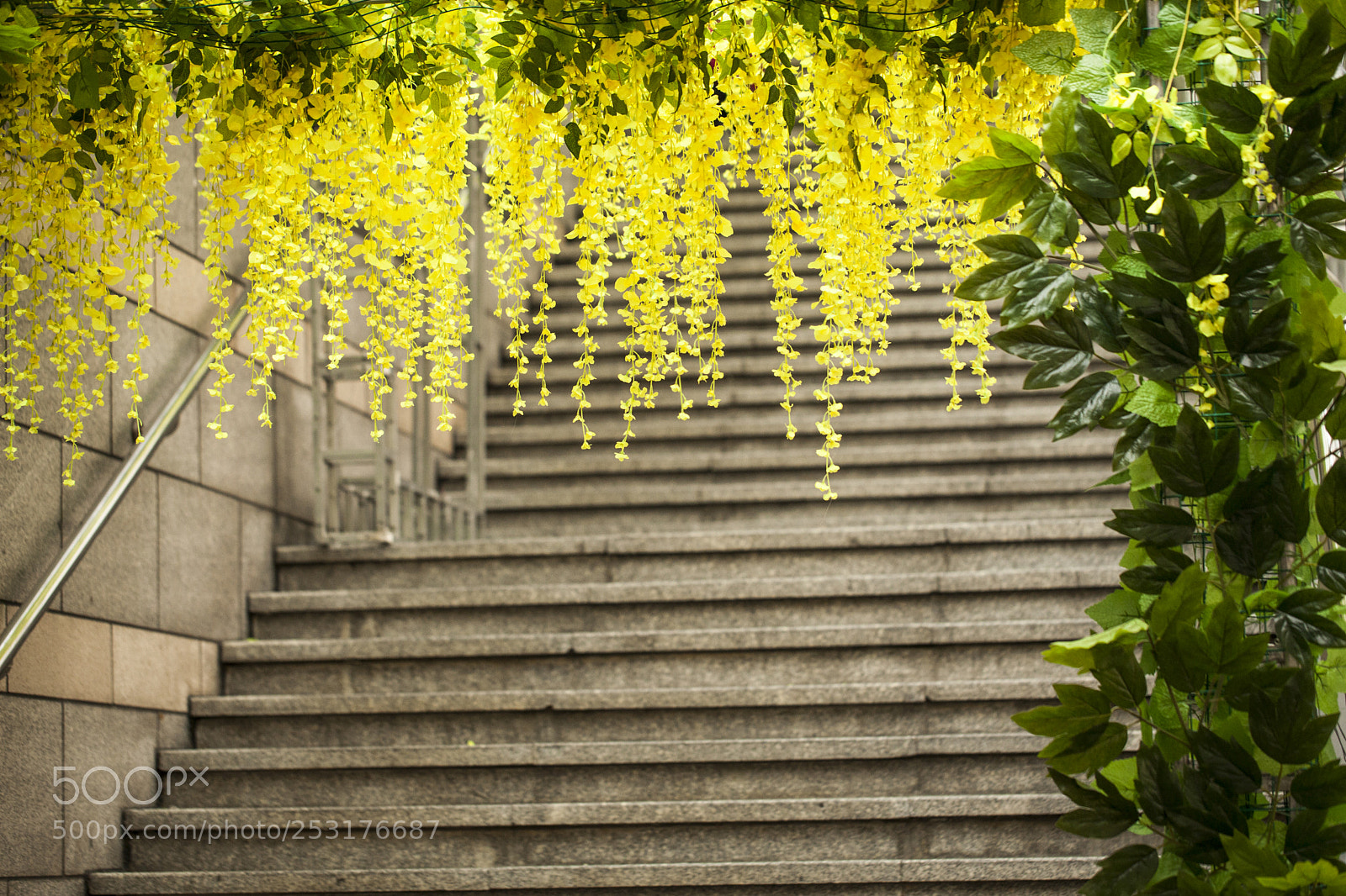 Canon EOS 5D Mark II sample photo. Plastic plants photography
