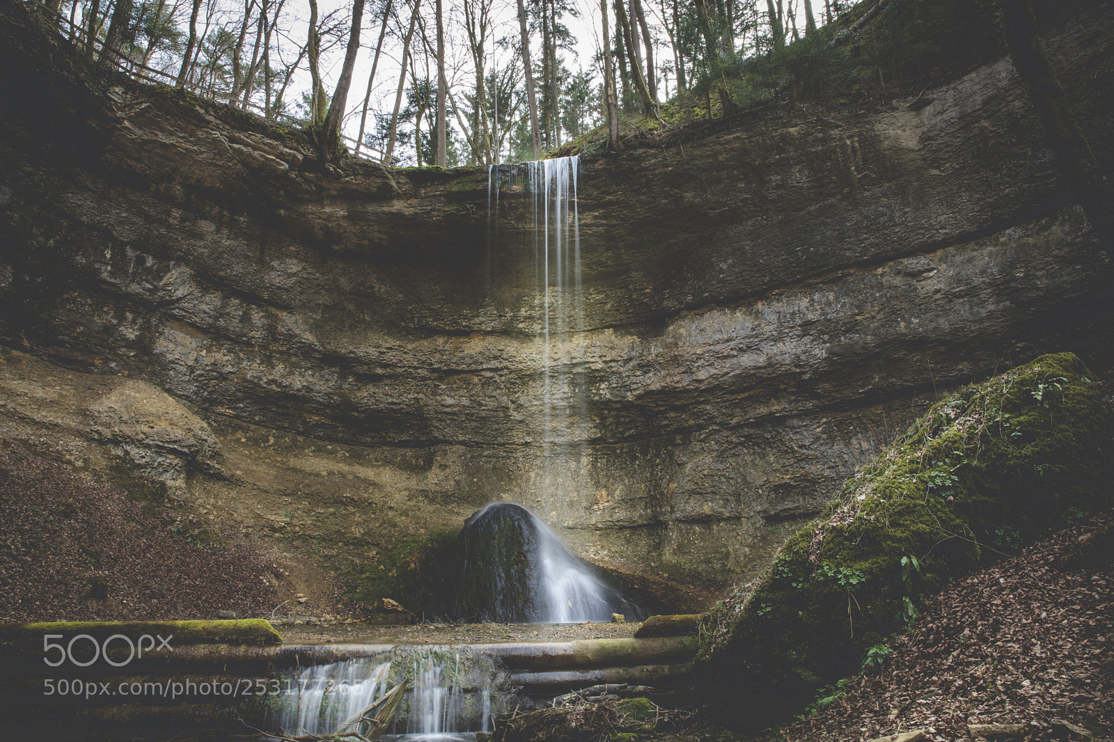 Canon EOS 5D Mark IV sample photo. Untitled photography