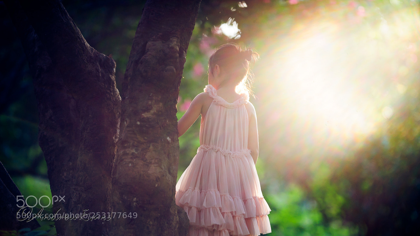 Nikon D3 sample photo. Flare photography