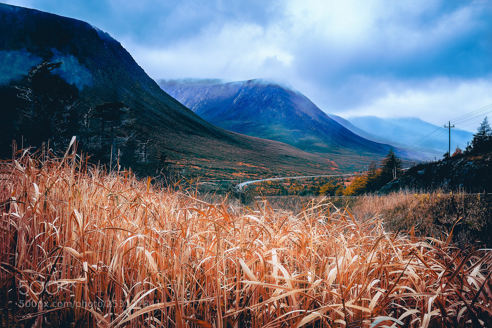 Nikon D810 sample photo. Autumn in the tablelands photography