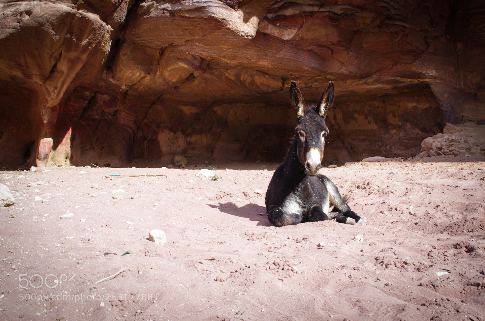 Pentax K-5 sample photo. Petra photography