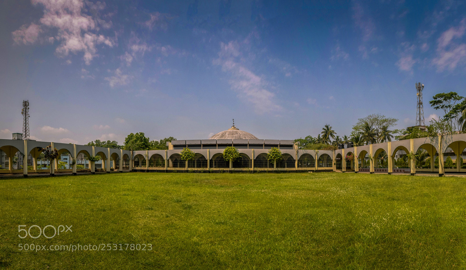 Nikon D5300 sample photo. Bau, mymensingh photography