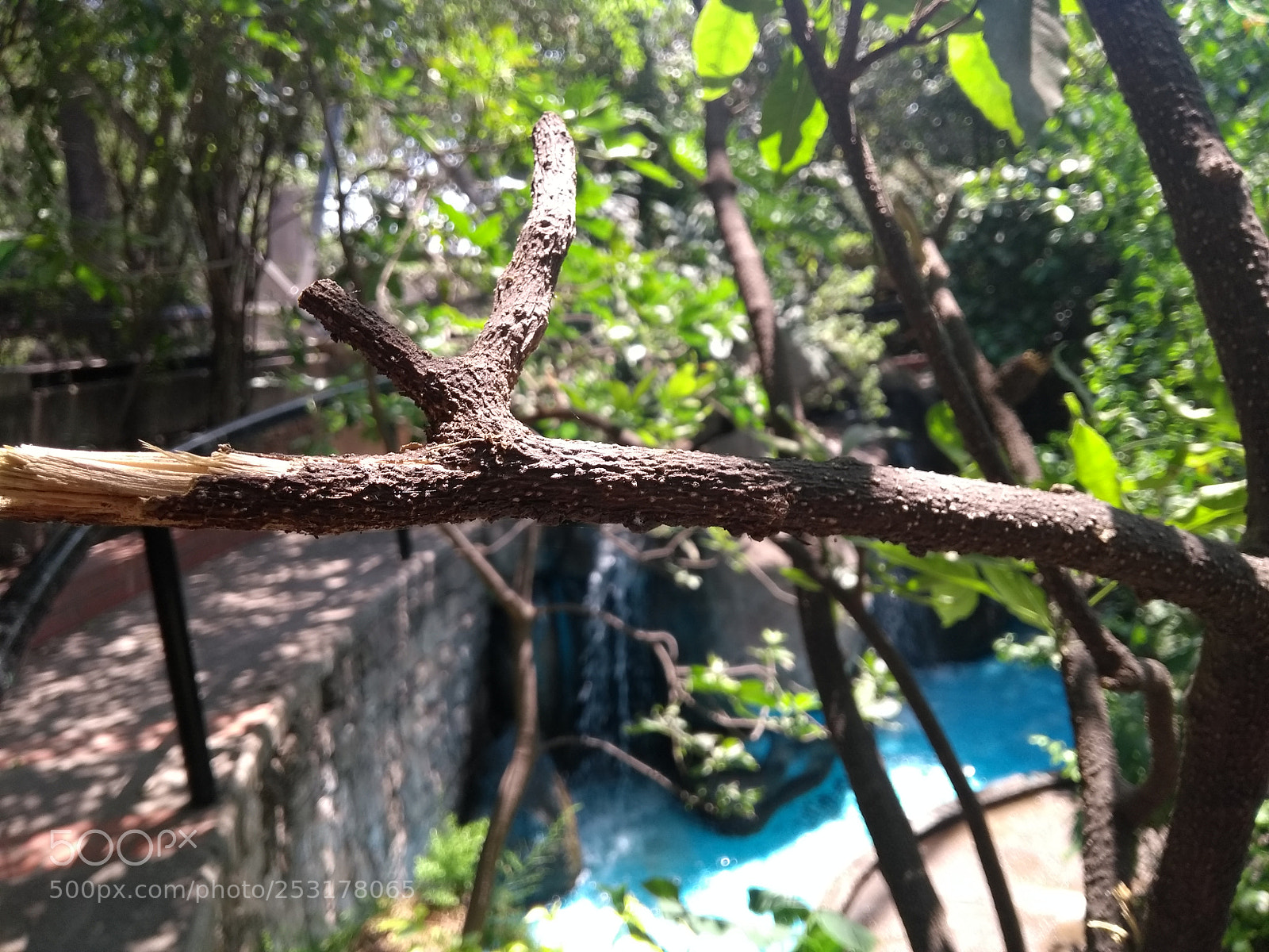 Motorola Moto G (5th Gen) sample photo. Untitled photography