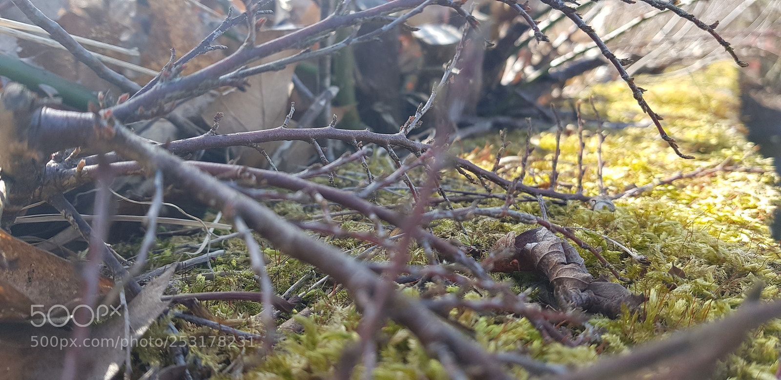 Samsung Galaxy S8+ sample photo. Untitled photography