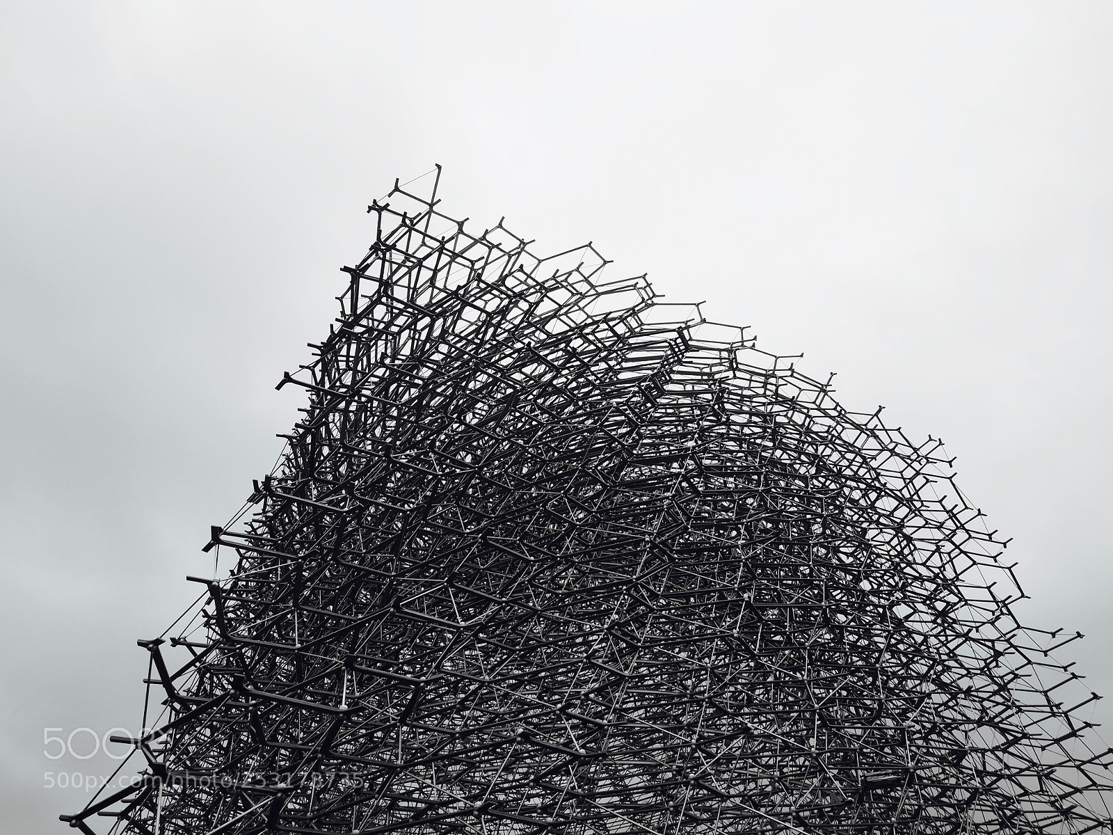 Olympus OM-D E-M5 II sample photo. The hive photography
