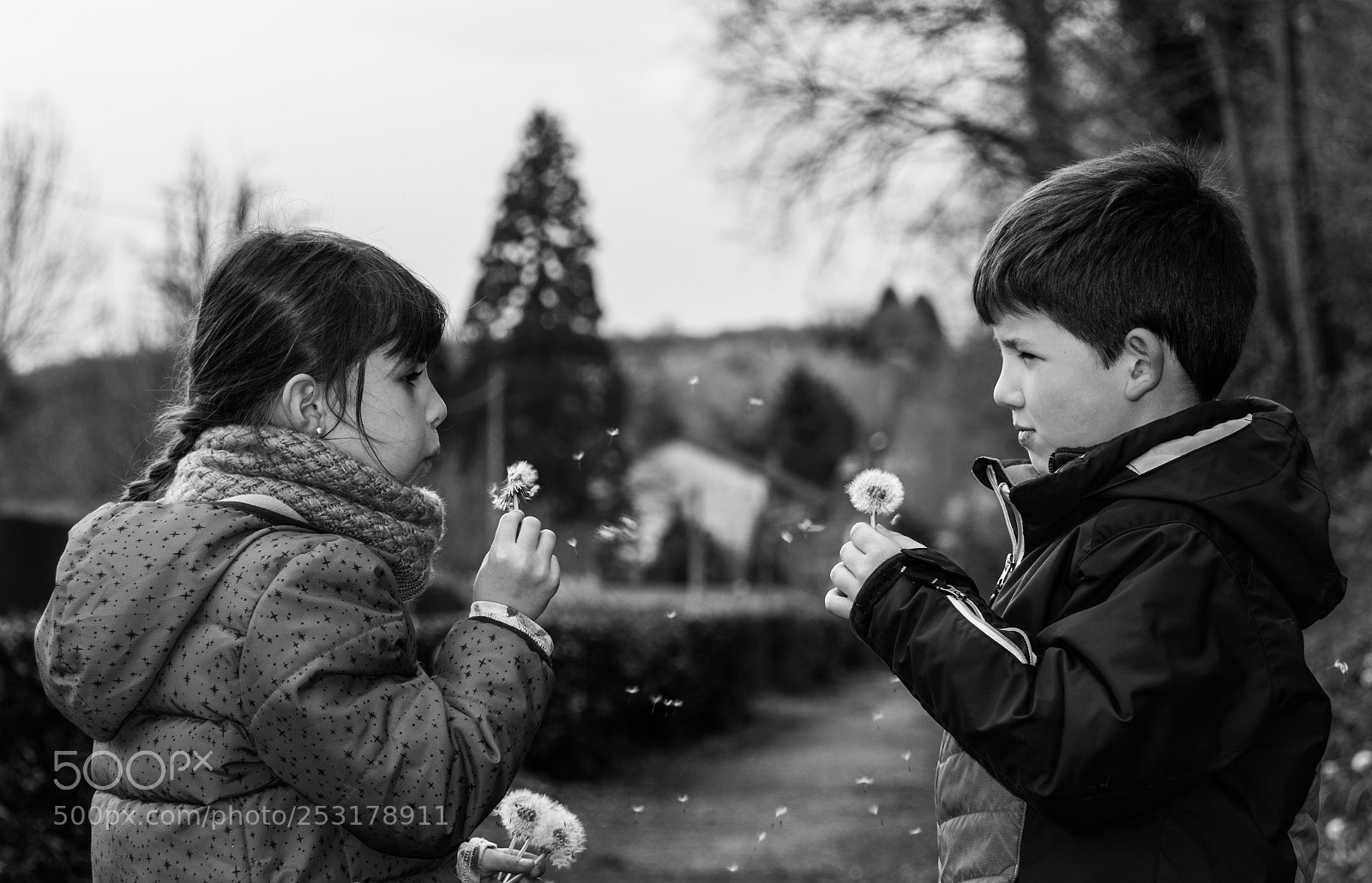 Nikon D7500 sample photo. Souffle de picenlit photography