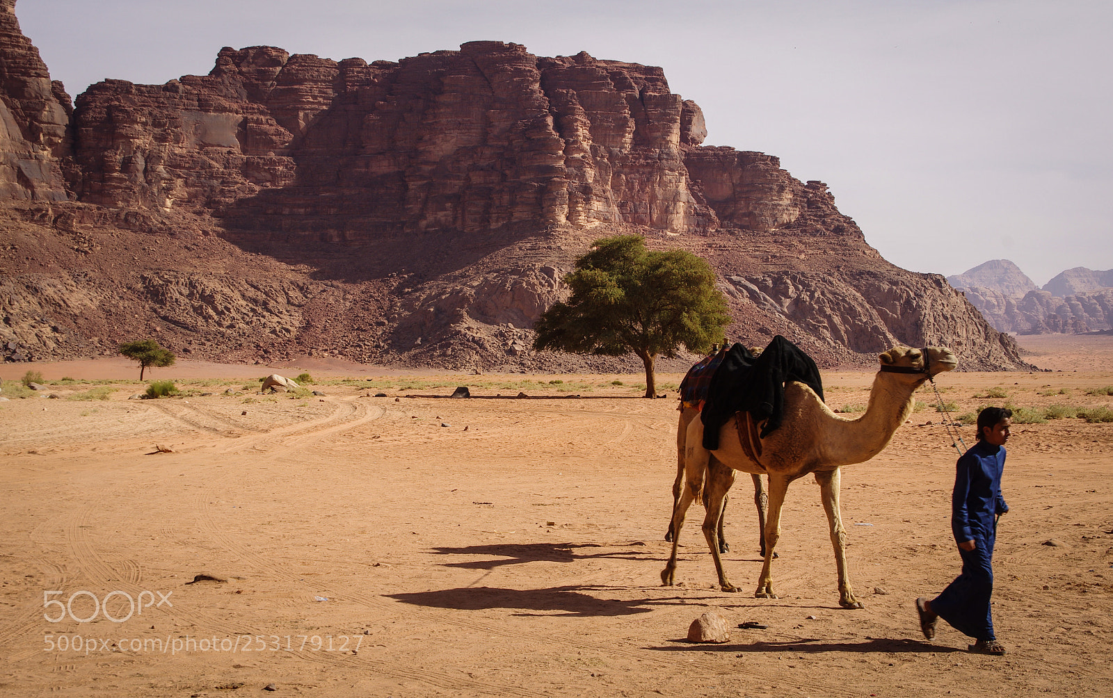 Pentax K-5 sample photo. Wadi rum photography