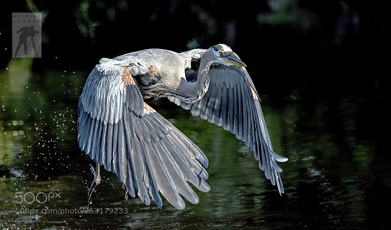 Nikon D810 sample photo. Take off  1754 photography