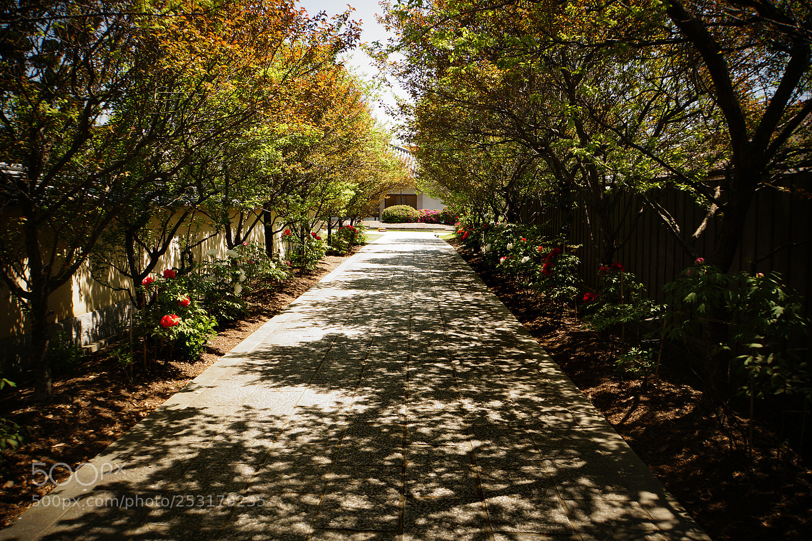 Sony a6000 sample photo. In nara photography