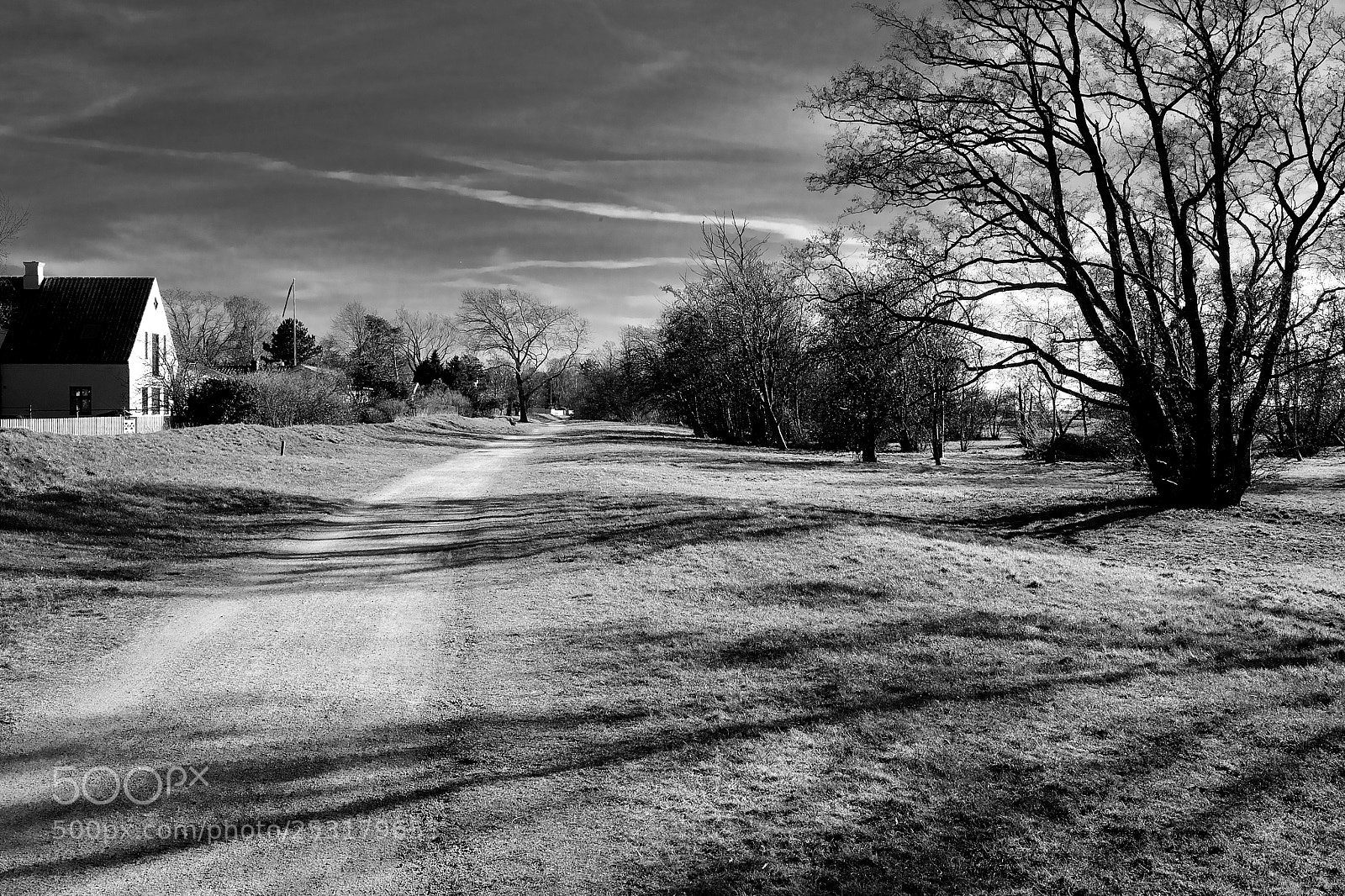 Fujifilm X-Pro1 sample photo. Sunny path photography