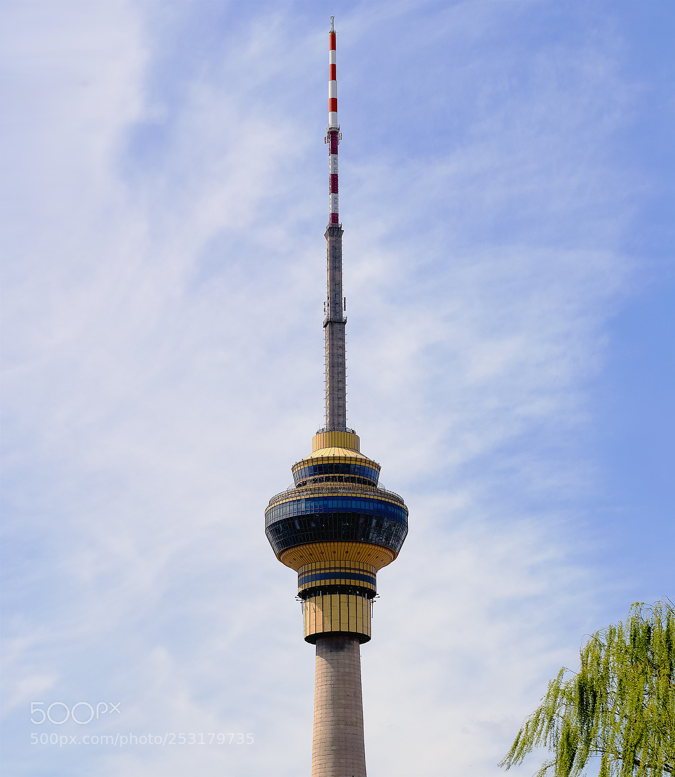 Canon EOS-1D X Mark II sample photo. 玉渊潭公园 photography
