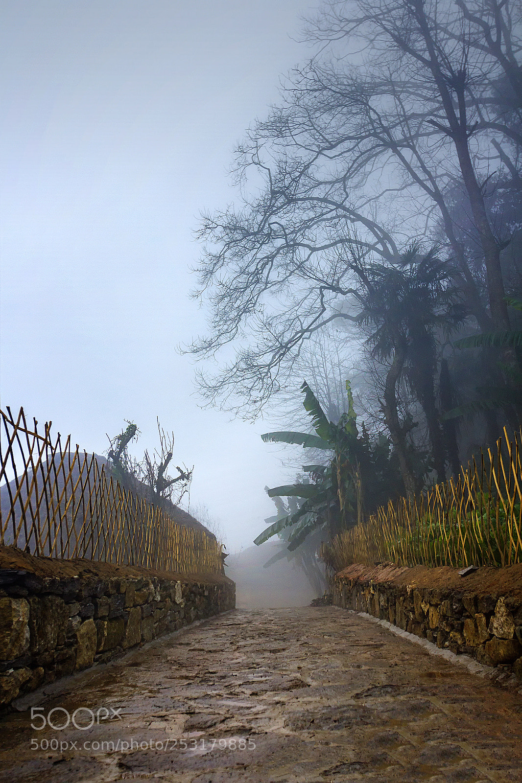 Canon EOS 600D (Rebel EOS T3i / EOS Kiss X5) sample photo. Mountain village morning fog photography
