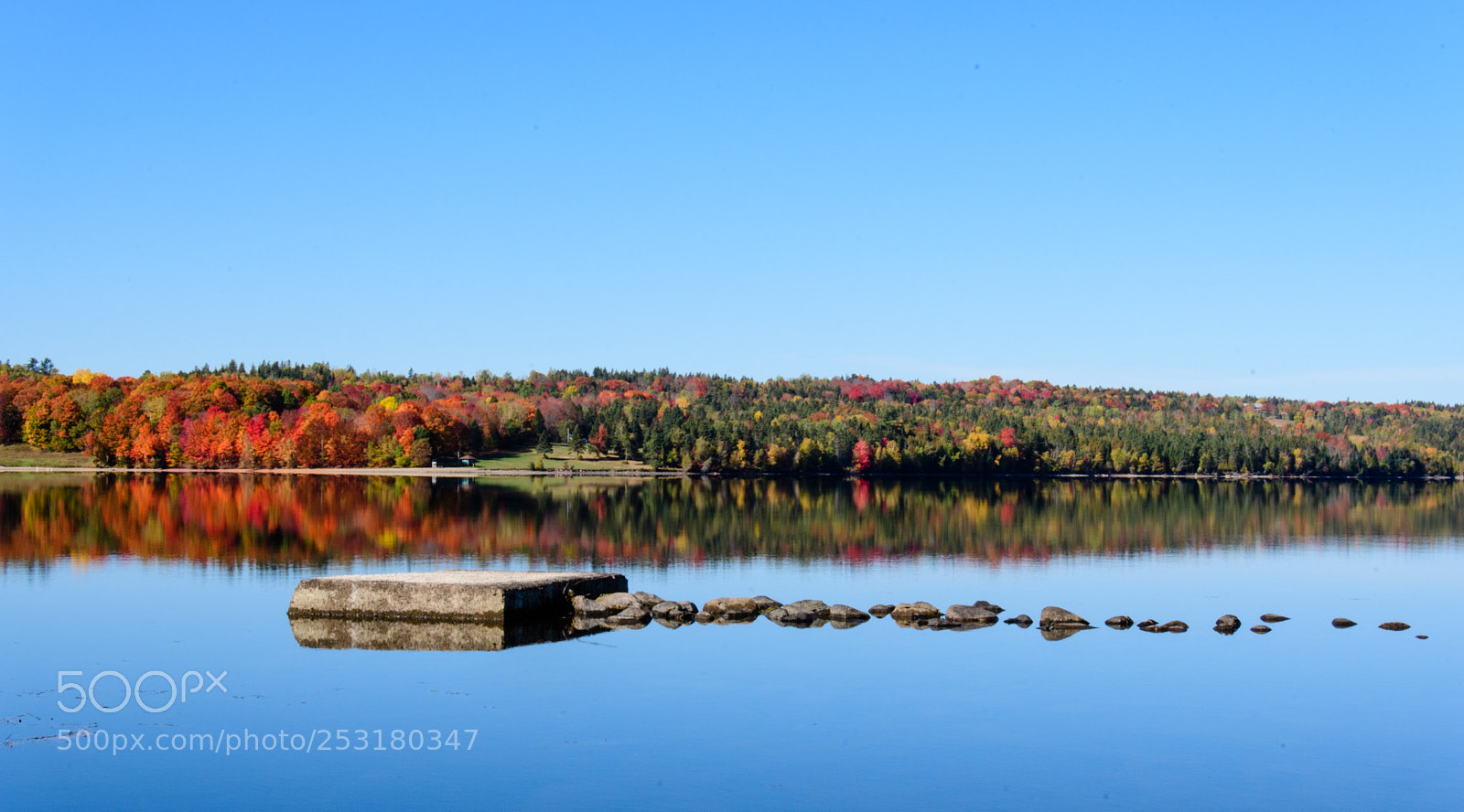 Nikon D500 sample photo. Reflections on the headpond photography