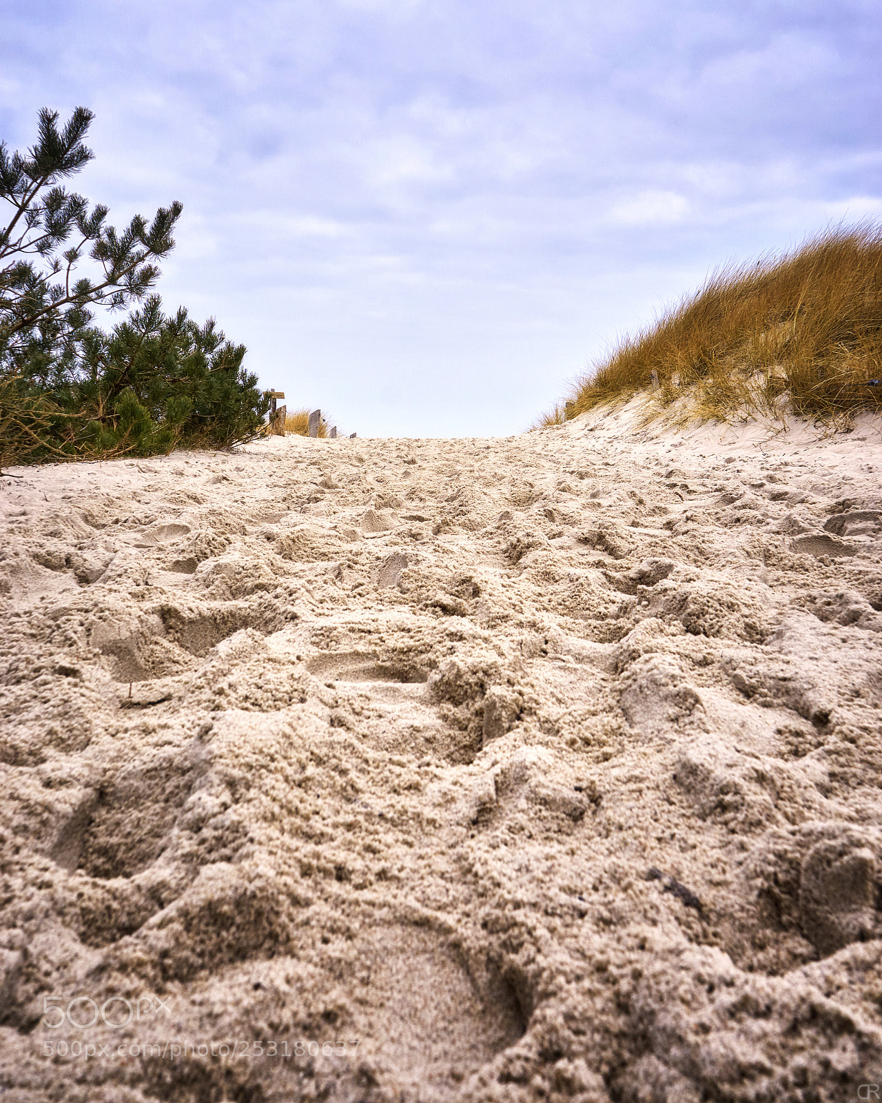 Sony a6000 sample photo. Spuren zum strand photography
