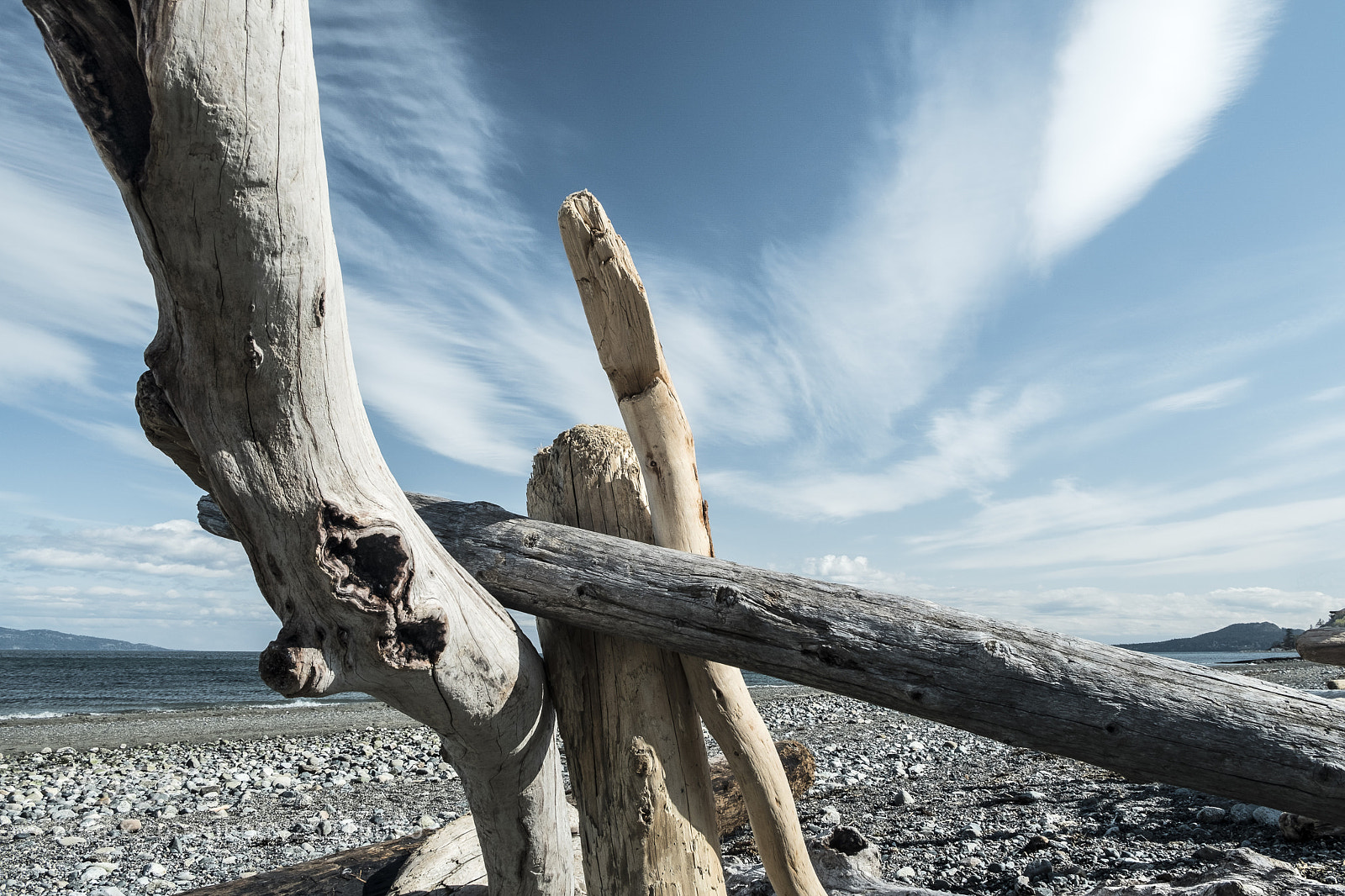 Fujifilm X-T20 sample photo. Driftwood sculpture i. photography