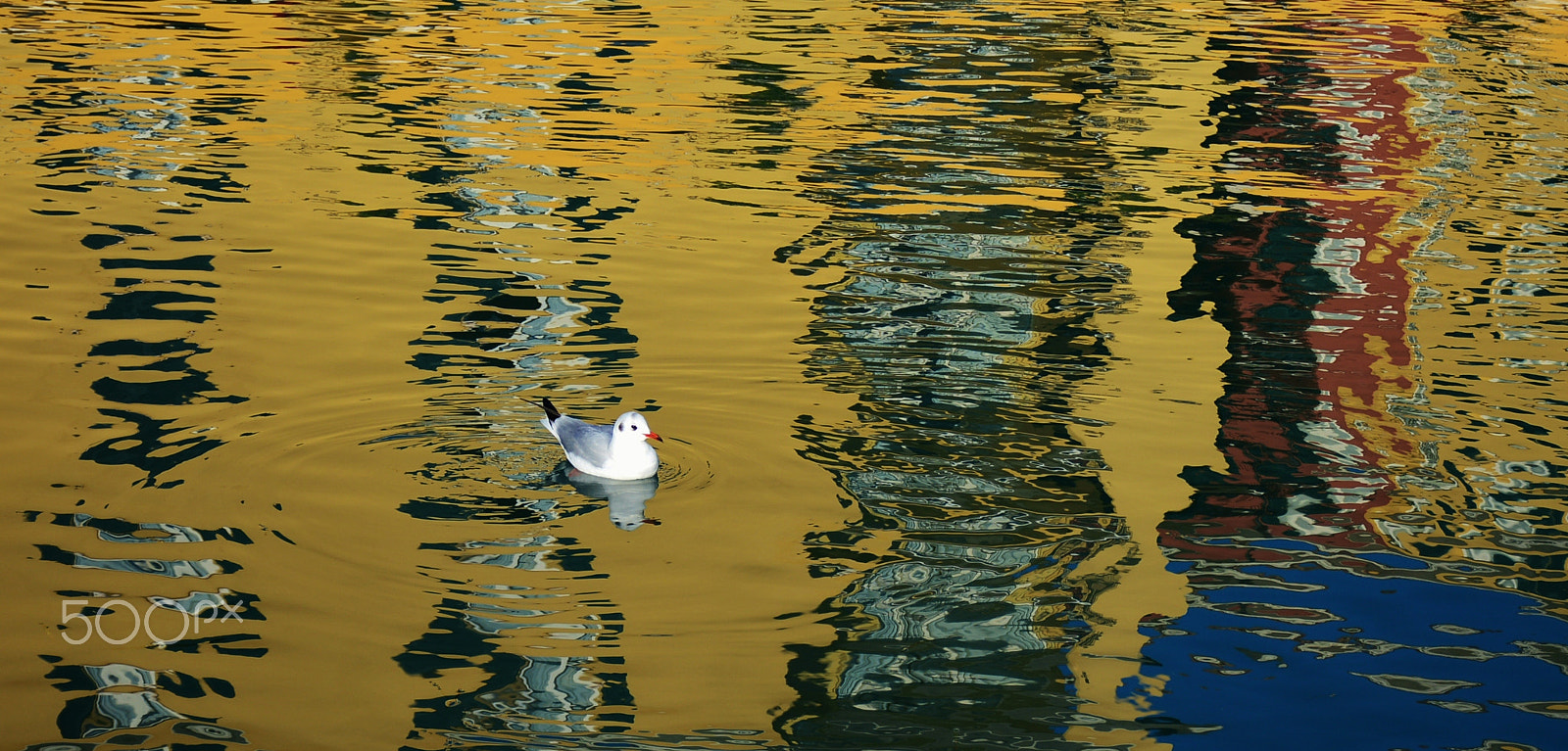 Nikon D5200 sample photo. Reflexions photography