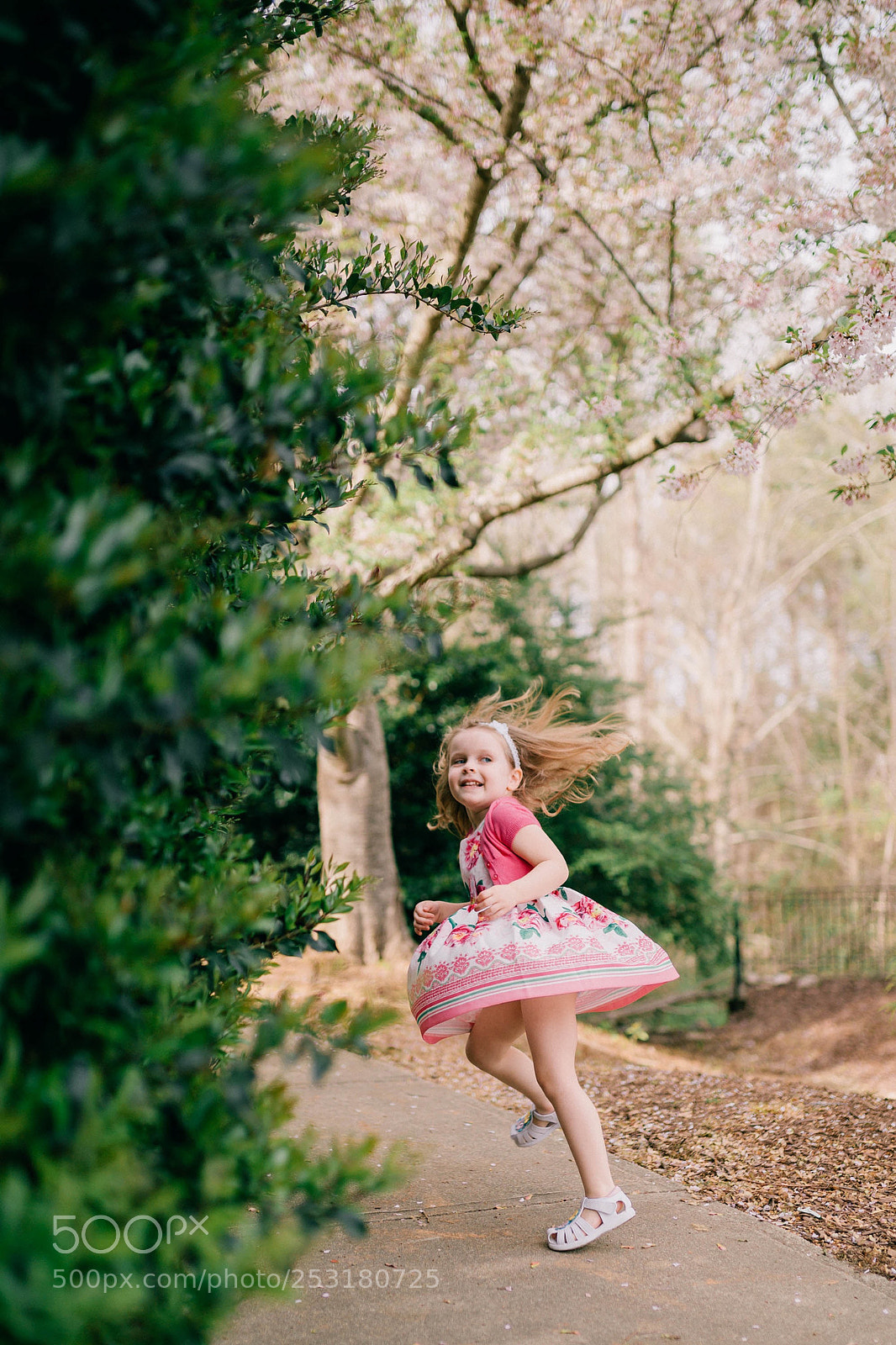 Canon EOS 5D Mark IV sample photo. Untitled photography