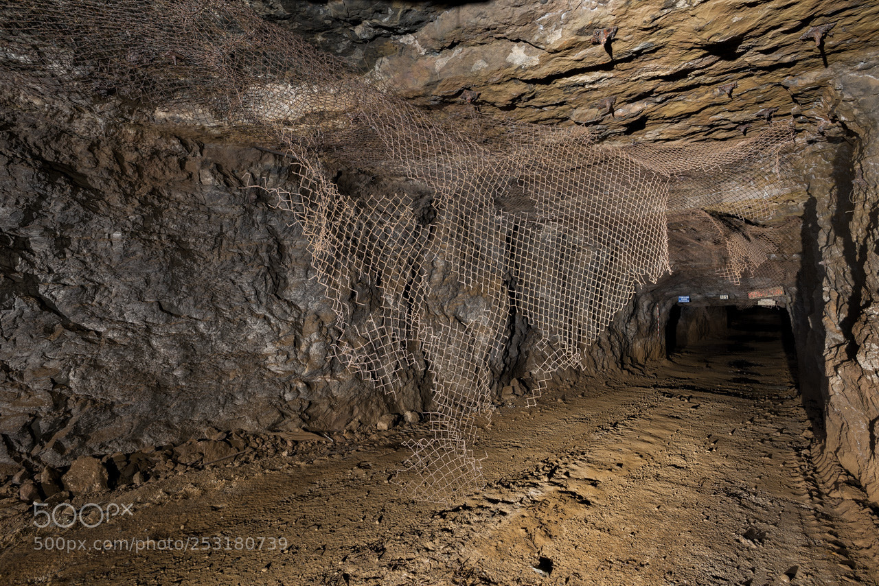 Nikon D600 sample photo. Safety net photography
