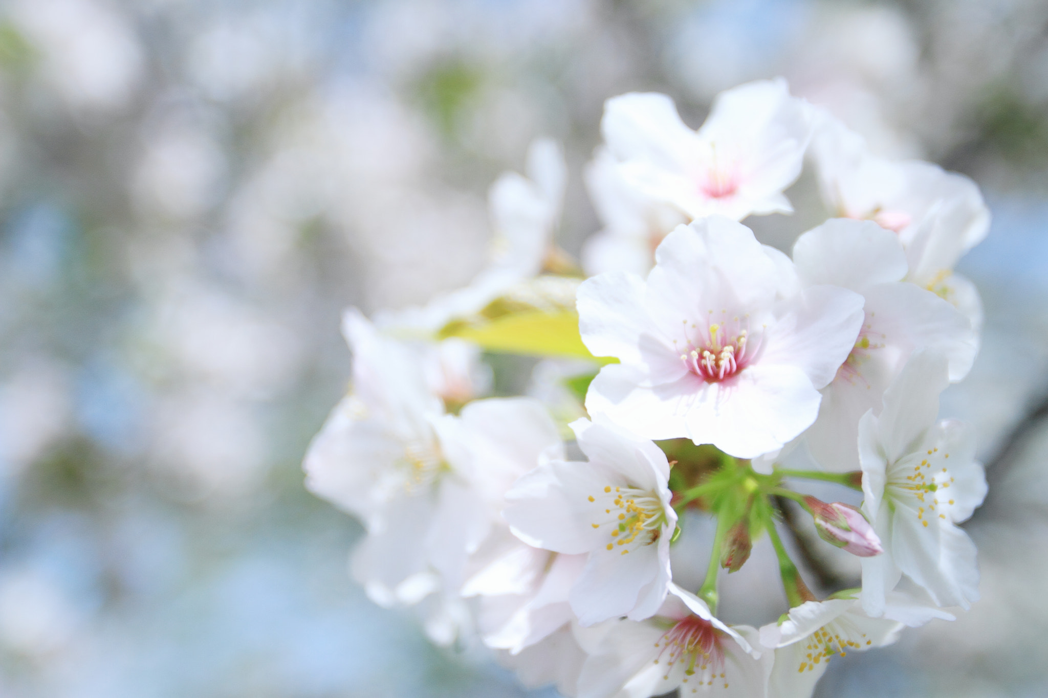 Canon EOS 7D + Canon EF 16-35mm F2.8L USM sample photo