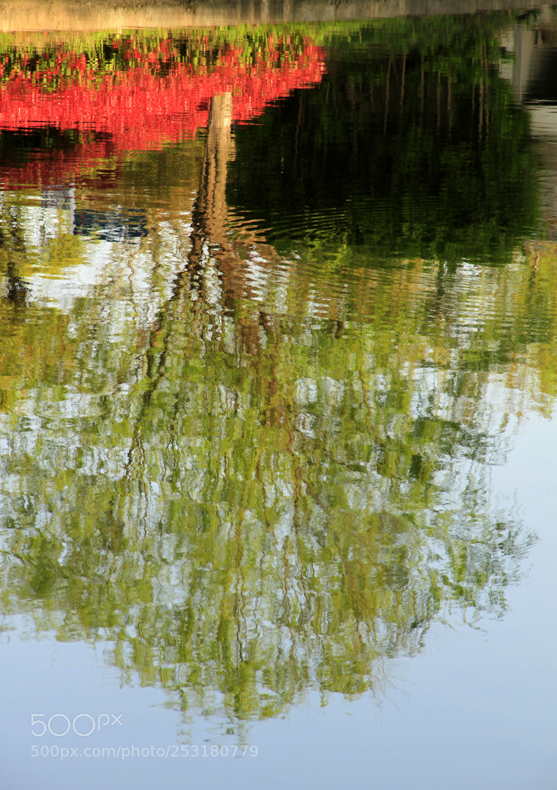 Canon EOS 7D sample photo. The song of spring photography