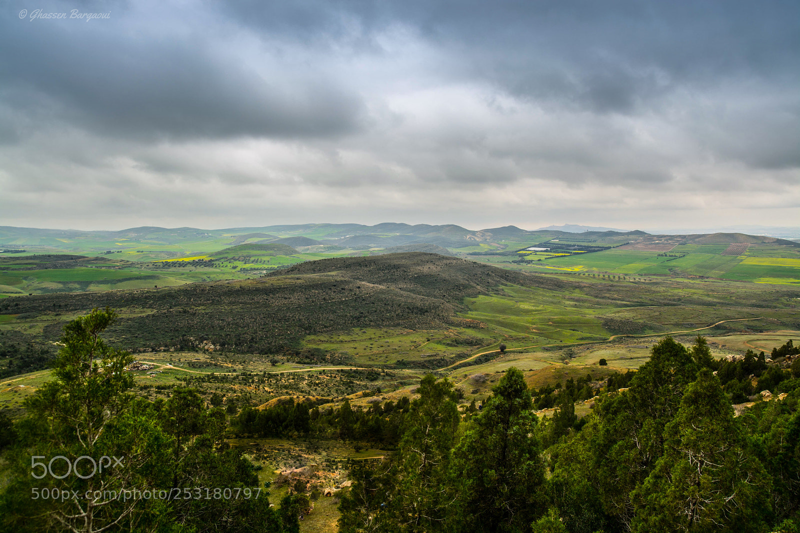 Nikon D7100 sample photo. The hills have eyes photography