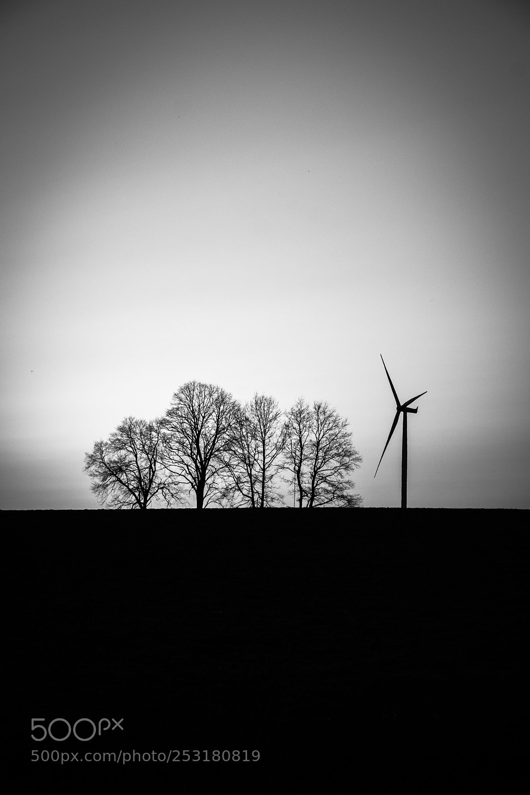Fujifilm X-T1 sample photo. Untitled photography